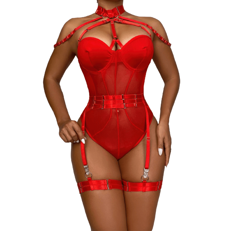 Erotic Female Halter Bodysuit / Fancy Transparent Lingerie With Garters / Sexy Body Outfits - EVE's SECRETS