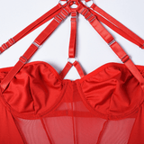 Erotic Female Halter Bodysuit / Fancy Transparent Lingerie With Garters / Sexy Body Outfits - EVE's SECRETS
