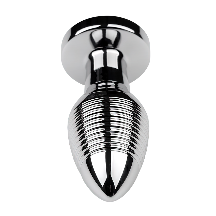 Erotic Sex Toys For Masturbation / Remote Controlled Vibrators / Unisex Metal Anal Plug - EVE's SECRETS
