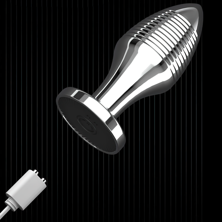 Erotic Sex Toys For Masturbation / Remote Controlled Vibrators / Unisex Metal Anal Plug - EVE's SECRETS