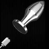 Erotic Sex Toys For Masturbation / Remote Controlled Vibrators / Unisex Metal Anal Plug - EVE's SECRETS