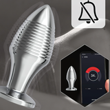 Erotic Sex Toys For Masturbation / Remote Controlled Vibrators / Unisex Metal Anal Plug - EVE's SECRETS