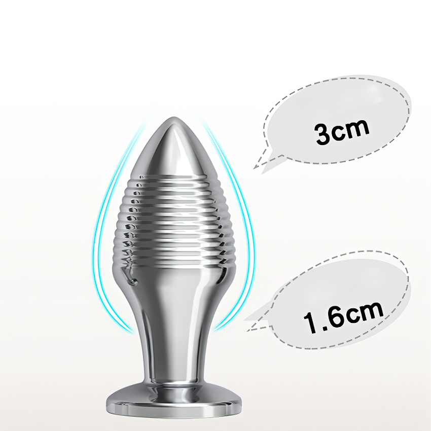 Erotic Sex Toys For Masturbation / Remote Controlled Vibrators / Unisex Metal Anal Plug - EVE's SECRETS