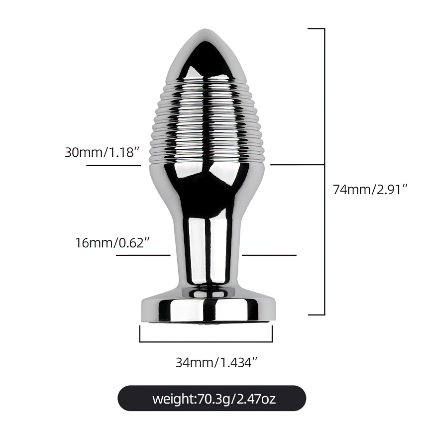 Erotic Sex Toys For Masturbation / Remote Controlled Vibrators / Unisex Metal Anal Plug - EVE's SECRETS
