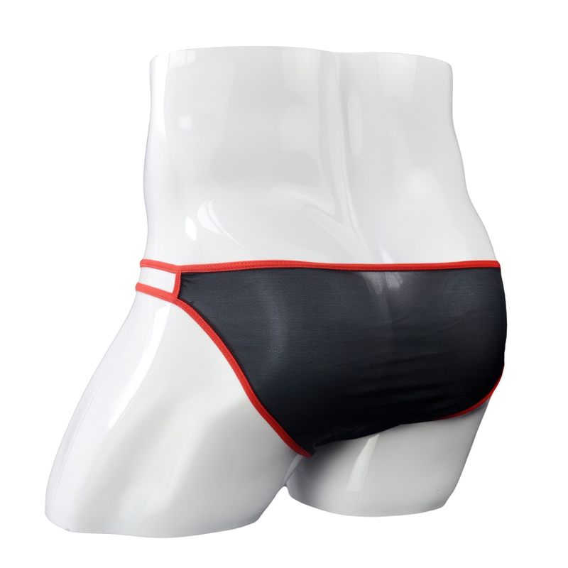 Erotic Thin Low Rise Panties / Men's Breathable Underwear / Sexy Male Mesh Lingerie - EVE's SECRETS
