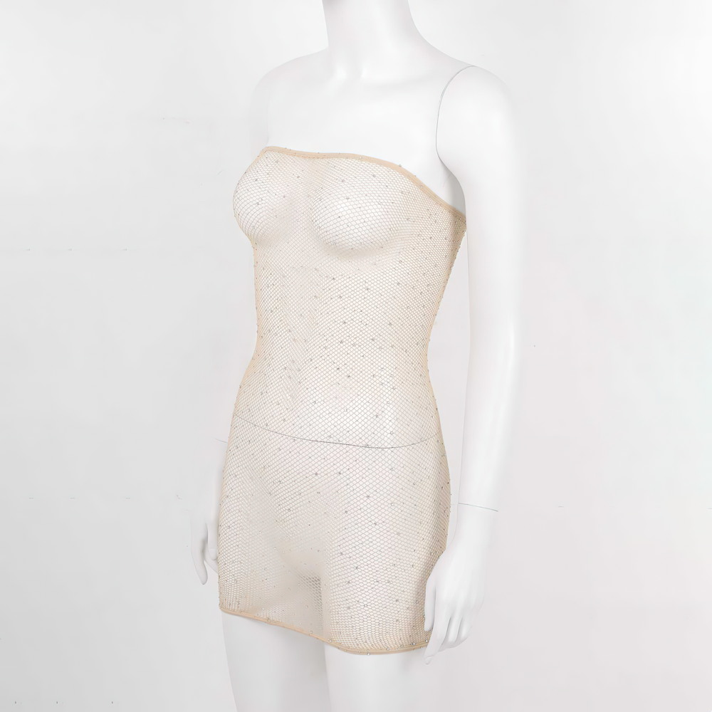 Erotic Women's Backless Mesh Dress / Role-Playing Games Transparent Female Clothing - EVE's SECRETS