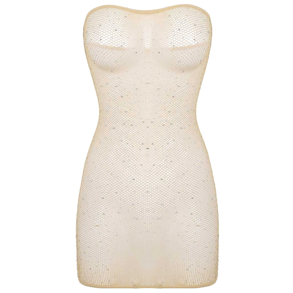Erotic Women's Backless Mesh Dress / Role-Playing Games Transparent Female Clothing - EVE's SECRETS