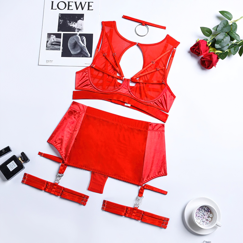 Fancy Erotic 5-Pieces Underwear / Sexy Transparent Lingerie Set / Women's Seductive Clothing - EVE's SECRETS