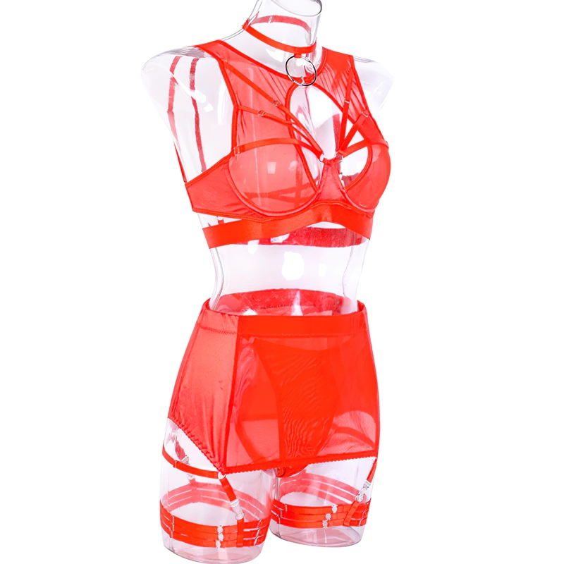 Fancy Erotic 5-Pieces Underwear / Sexy Transparent Lingerie Set / Women's Seductive Clothing - EVE's SECRETS