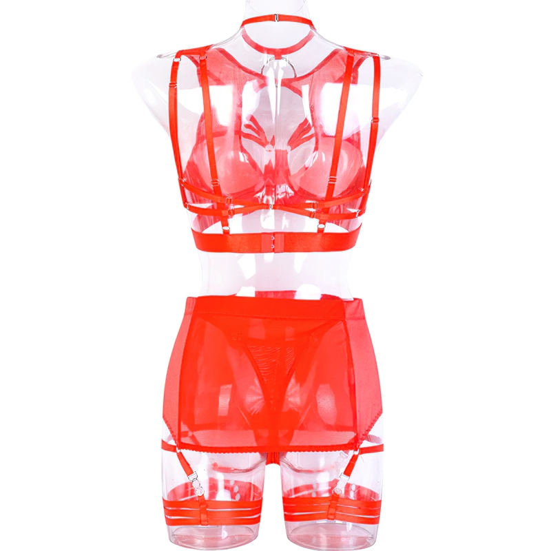 Fancy Erotic 5-Pieces Underwear / Sexy Transparent Lingerie Set / Women's Seductive Clothing - EVE's SECRETS