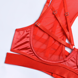 Fancy Erotic 5-Pieces Underwear / Sexy Transparent Lingerie Set / Women's Seductive Clothing - EVE's SECRETS