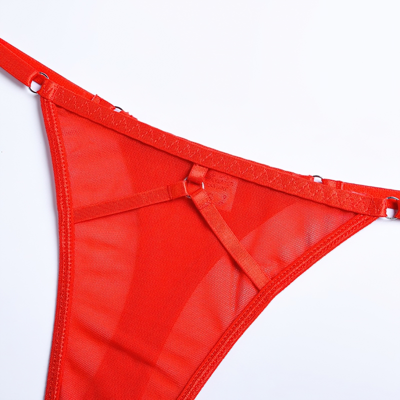 Fancy Erotic 5-Pieces Underwear / Sexy Transparent Lingerie Set / Women's Seductive Clothing - EVE's SECRETS