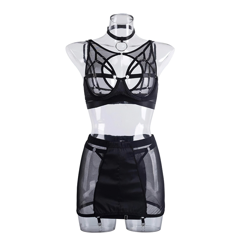 Fancy Erotic 5-Pieces Underwear / Sexy Transparent Lingerie Set / Women's Seductive Clothing - EVE's SECRETS