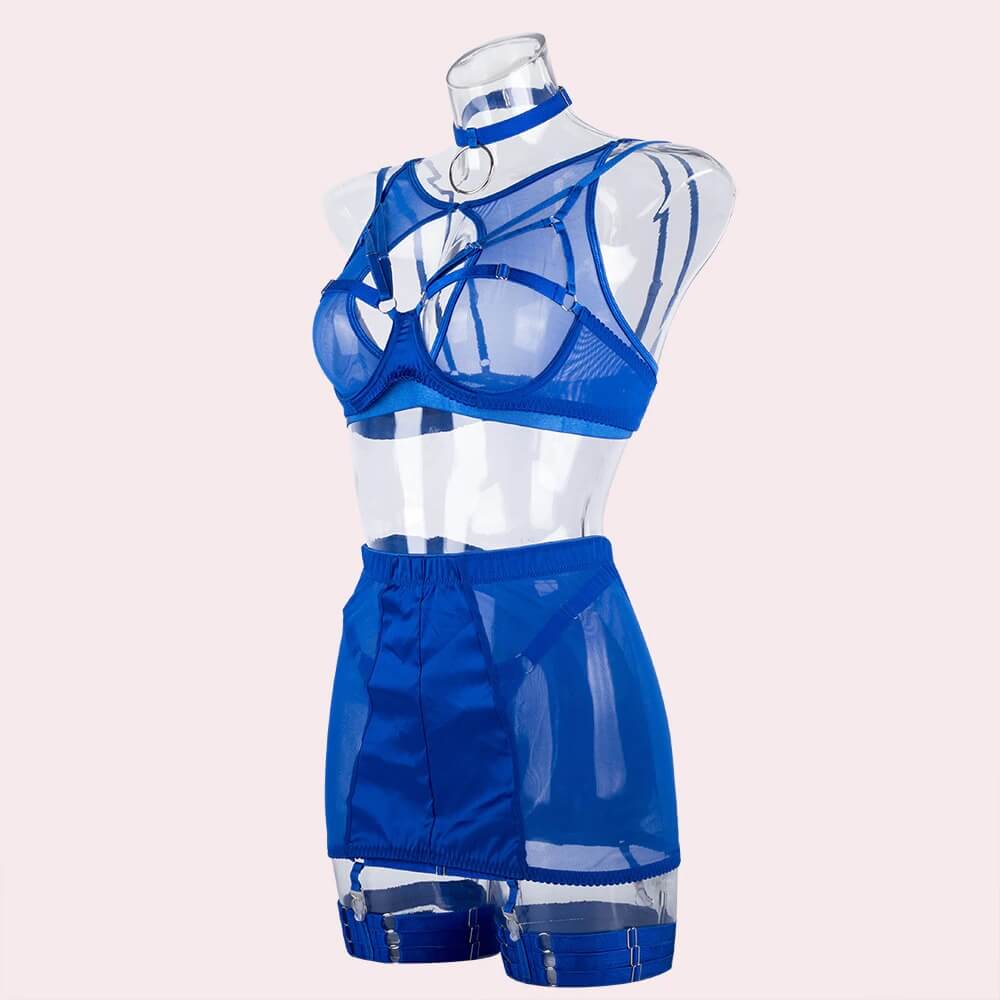 Fancy Erotic 5-Pieces Underwear / Sexy Transparent Lingerie Set / Women's Seductive Clothing - EVE's SECRETS