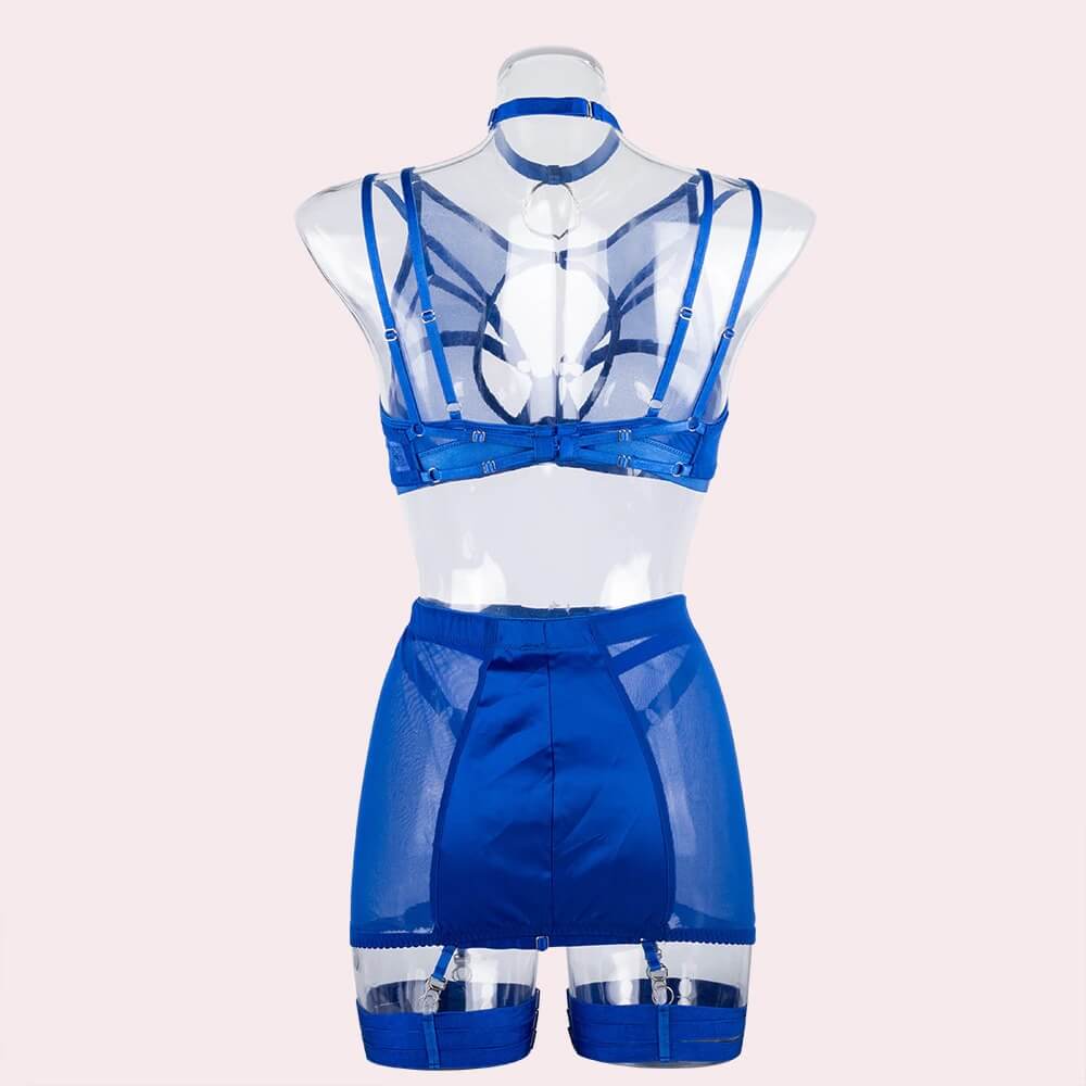 Fancy Erotic 5-Pieces Underwear / Sexy Transparent Lingerie Set / Women's Seductive Clothing - EVE's SECRETS