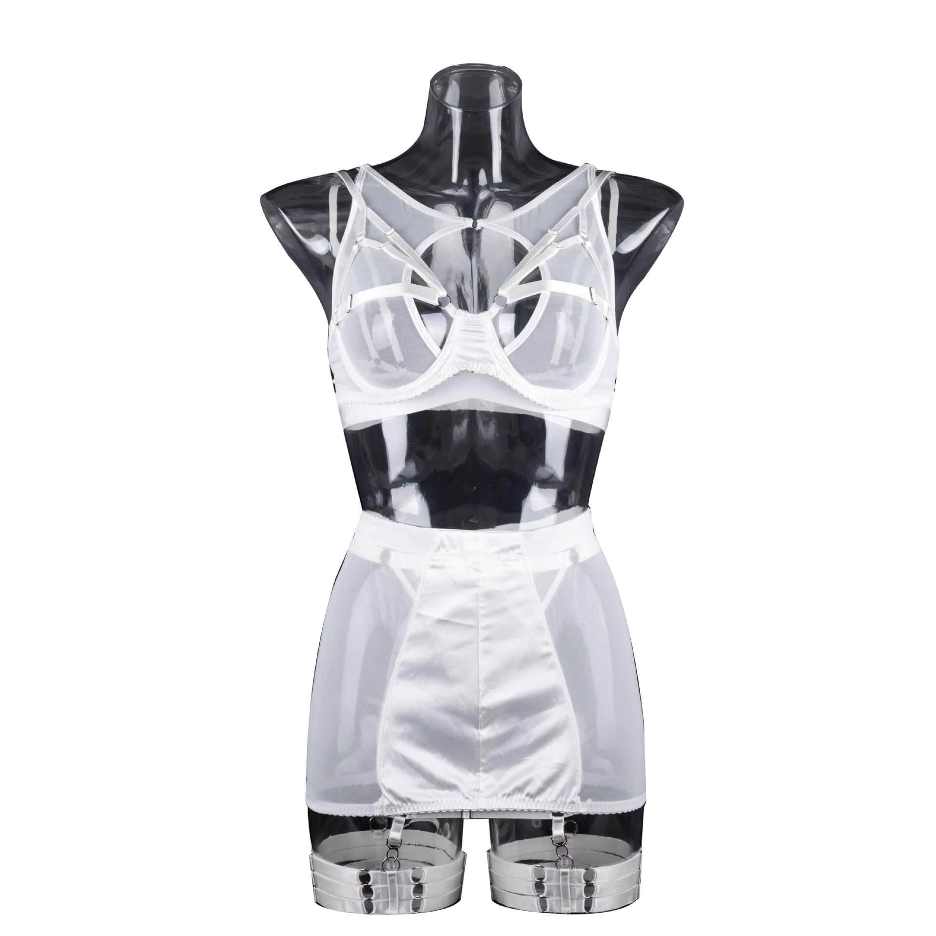 Fancy Erotic 5-Pieces Underwear / Sexy Transparent Lingerie Set / Women's Seductive Clothing - EVE's SECRETS