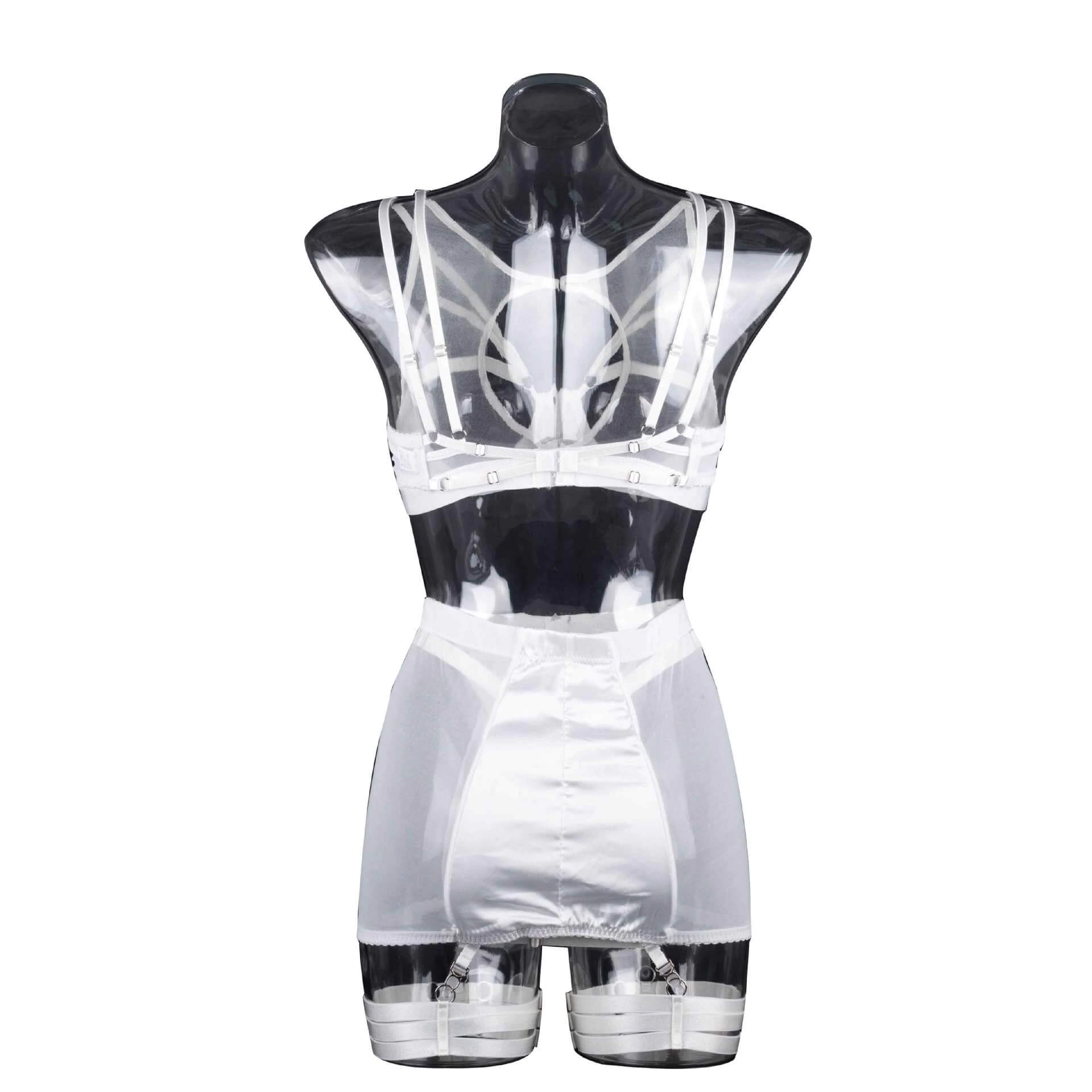 Fancy Erotic 5-Pieces Underwear / Sexy Transparent Lingerie Set / Women's Seductive Clothing - EVE's SECRETS