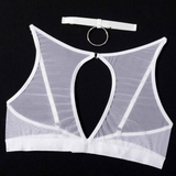 Fancy Erotic 5-Pieces Underwear / Sexy Transparent Lingerie Set / Women's Seductive Clothing - EVE's SECRETS