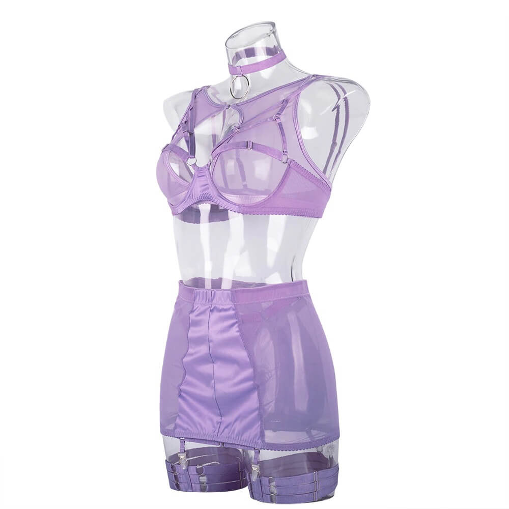 Fancy Erotic 5-Pieces Underwear / Sexy Transparent Lingerie Set / Women's Seductive Clothing - EVE's SECRETS