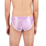 Fashion Men's Low Rise Underwear / Sexy Male U-Bulge Ultra Thin Underpants - EVE's SECRETS