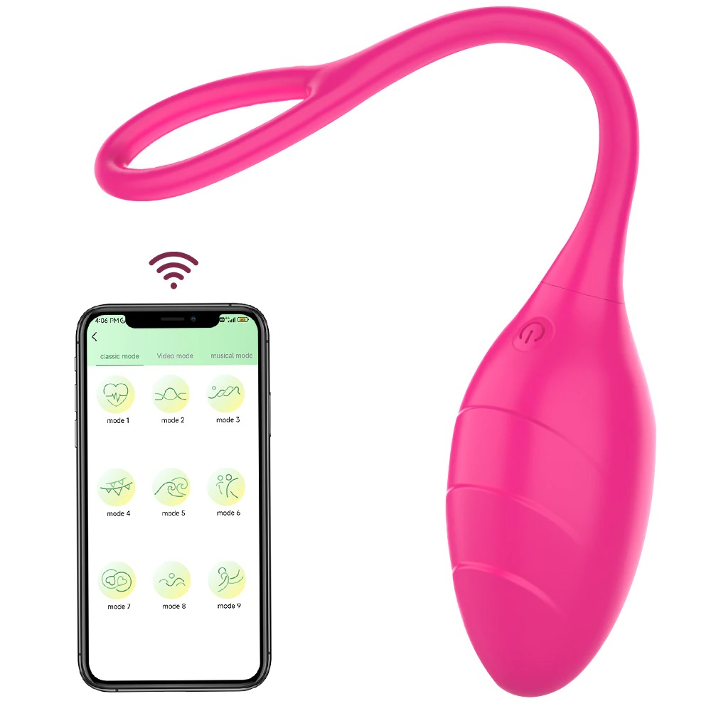Female App-Controlled Egg Vibrators / Women's G-Spots Masturbator / Wireless Remote Vibrator - EVE's SECRETS
