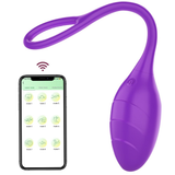 Female App-Controlled Egg Vibrators / Women's G-Spots Masturbator / Wireless Remote Vibrator - EVE's SECRETS