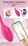 Female App-Controlled Egg Vibrators / Women's G-Spots Masturbator / Wireless Remote Vibrator - EVE's SECRETS