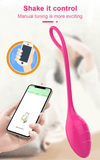 Female App-Controlled Egg Vibrators / Women's G-Spots Masturbator / Wireless Remote Vibrator - EVE's SECRETS