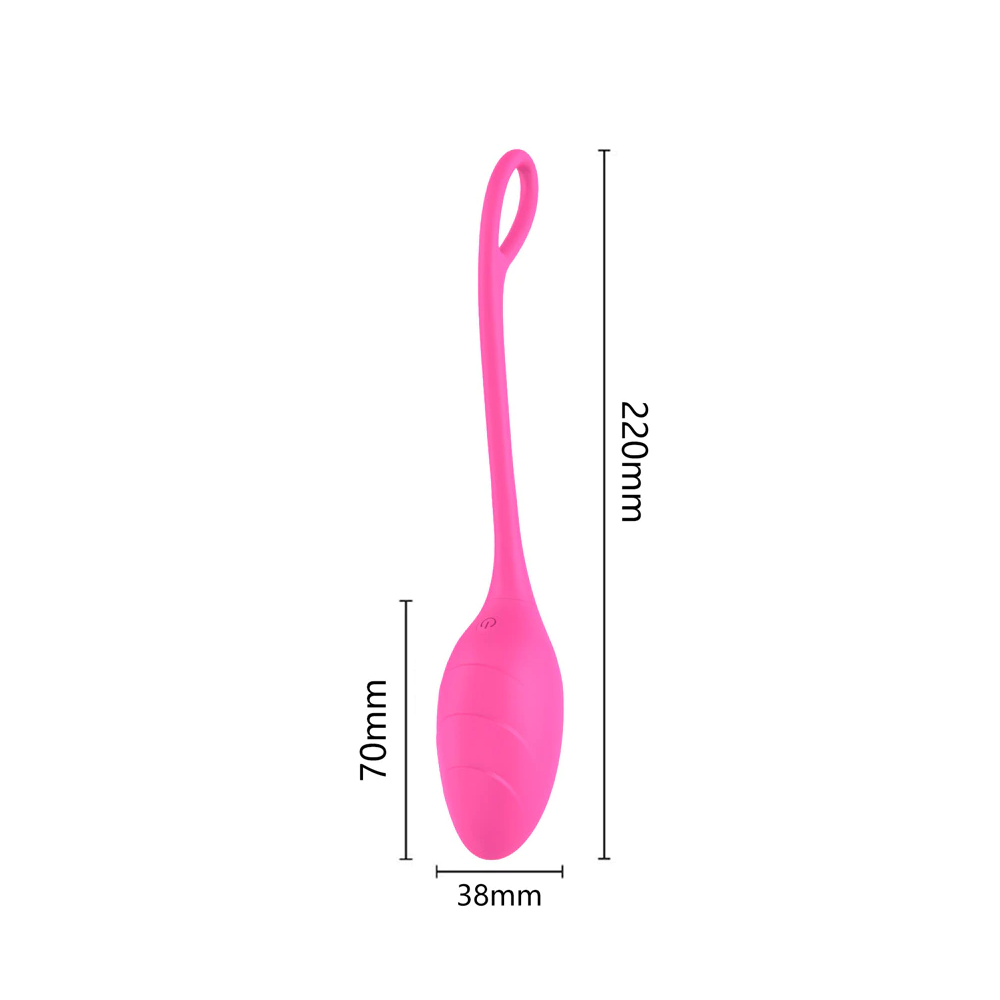 Female App-Controlled Egg Vibrators / Women's G-Spots Masturbator / Wireless Remote Vibrator - EVE's SECRETS