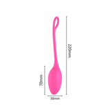 Female App-Controlled Egg Vibrators / Women's G-Spots Masturbator / Wireless Remote Vibrator - EVE's SECRETS