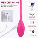 Female App-Controlled Egg Vibrators / Women's G-Spots Masturbator / Wireless Remote Vibrator - EVE's SECRETS
