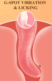 Female G-Spot Vibrator / Tongue Design Sex Toys For Masturbation / Women's Clitoral Massager - EVE's SECRETS