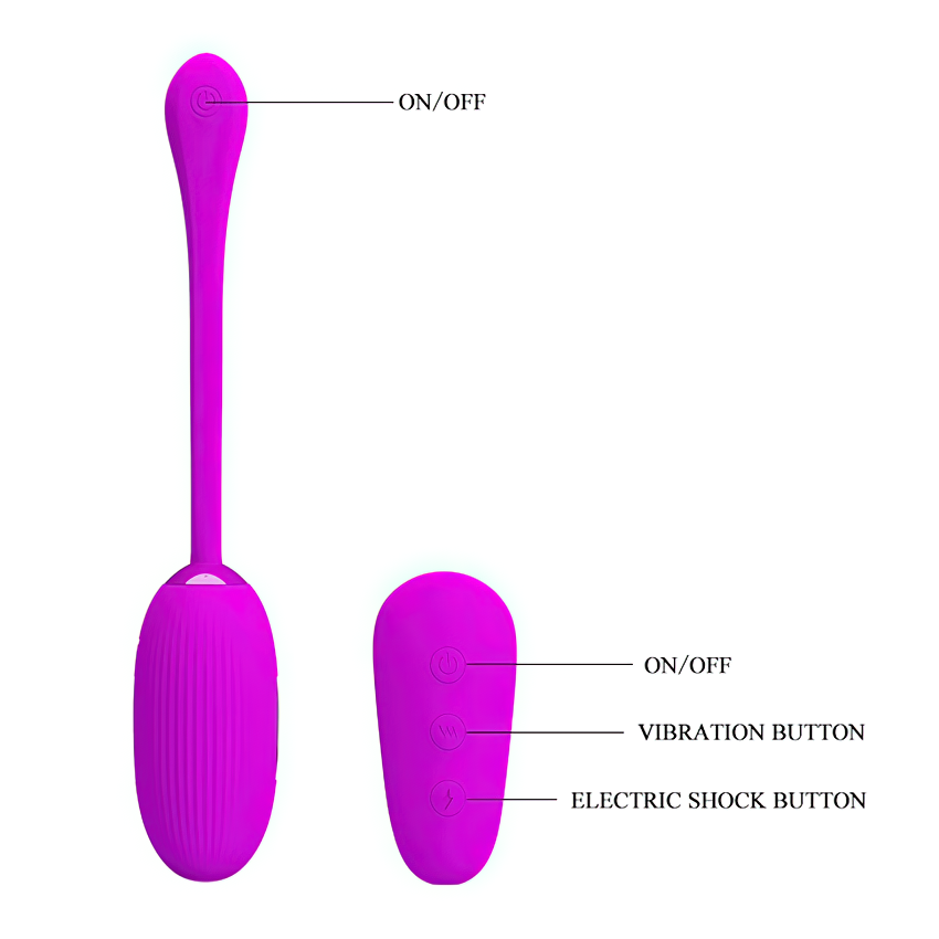 Female Remote Control Masturbator / Sex Toys For Clitoral Stimulations / Women's Egg Vibrator - EVE's SECRETS