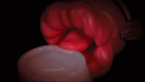Female Tongue Vibrator / Women's Clitoral Suction Masturbator / Realistic Adult Sex Toys - EVE's SECRETS