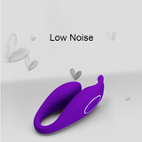Female Wireless Remote Vibrator / Two Motors Sex Toy For Clitoral And G-Spot Stimulation - EVE's SECRETS