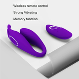Female Wireless Remote Vibrator / Two Motors Sex Toy For Clitoral And G-Spot Stimulation - EVE's SECRETS