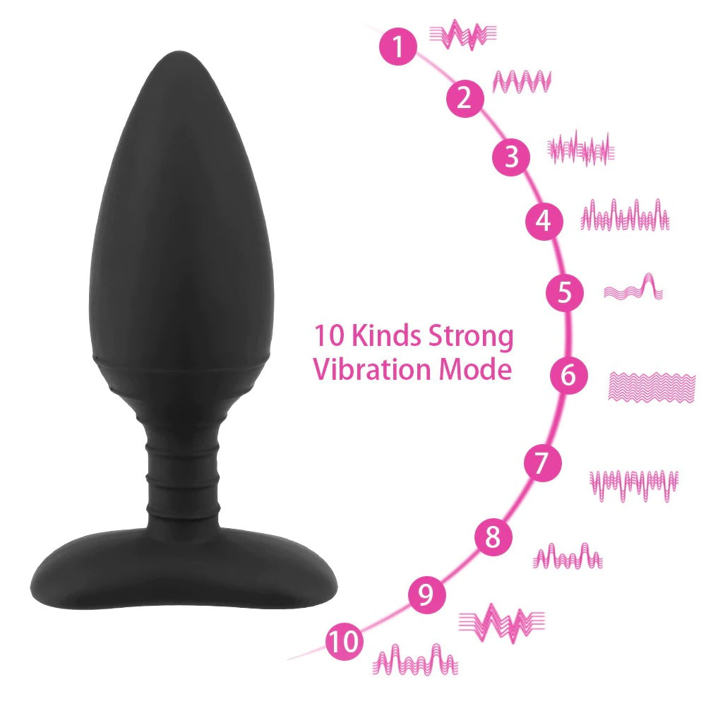 Electric Shock Anal Plug Vibrator / Remote Control Anus Buttplug Dilator - EVE's SECRETS