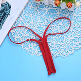Ladies Sexy Lingerie Nylon Panties / Briefs Bikini with Zipper Crotch - EVE's SECRETS