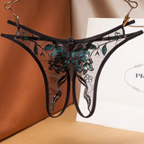 Ladies Transparent Embroidery Briefs / Adult Erotic Lingerie with Lace / Sexy Bikini Panties - EVE's SECRETS