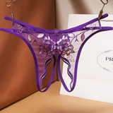 Ladies Transparent Embroidery Briefs / Adult Erotic Lingerie with Lace / Sexy Bikini Panties - EVE's SECRETS