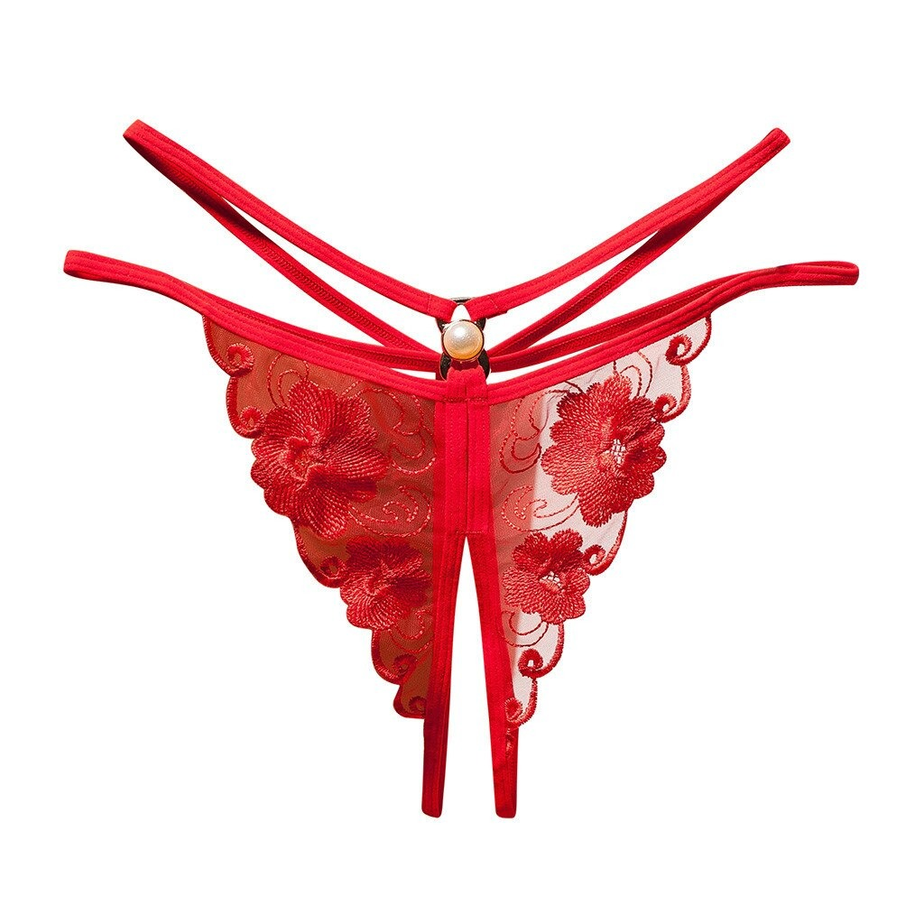 Ladies Transparent Embroidery Briefs / Adult Erotic Lingerie with Lace / Sexy Bikini Panties - EVE's SECRETS
