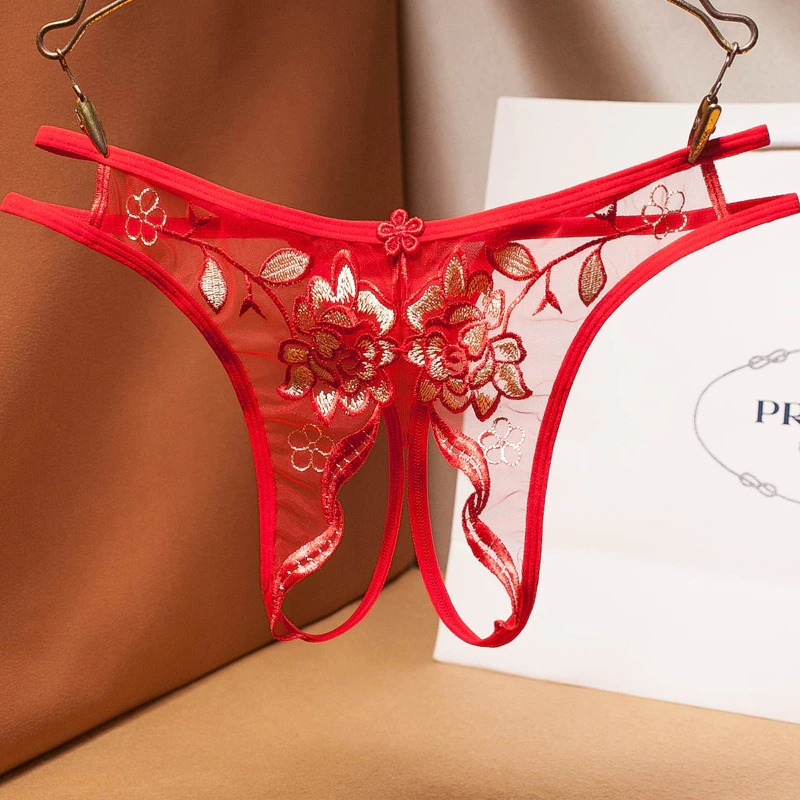 Ladies Transparent Embroidery Briefs / Adult Erotic Lingerie with Lace / Sexy Bikini Panties - EVE's SECRETS