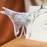 Ladies Transparent Embroidery Briefs / Adult Erotic Lingerie with Lace / Sexy Bikini Panties - EVE's SECRETS
