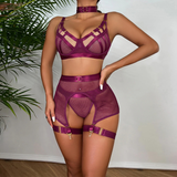 Luxury Hollow Out Exotic Sets With Garters / Sexy Hot Transparent Lingerie / Erotic Female Set - EVE's SECRETS