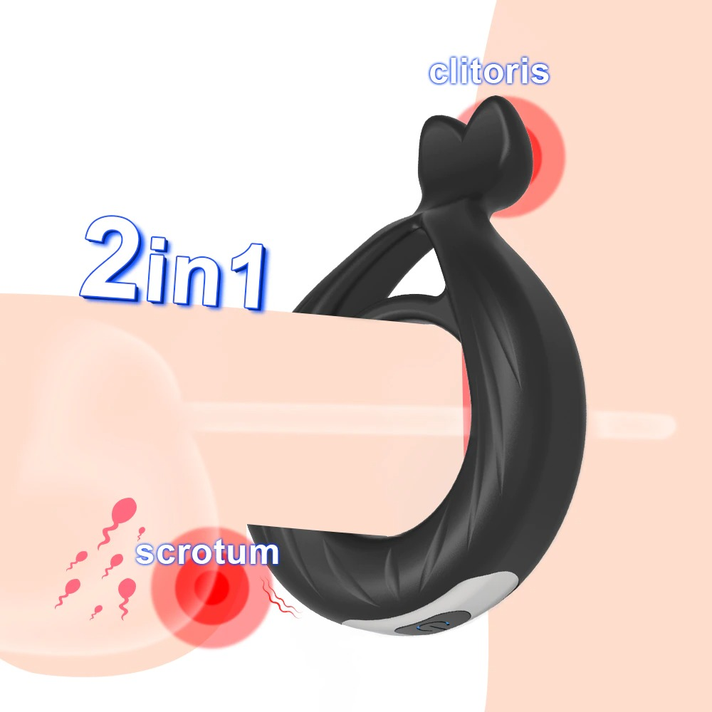 Male Penis Vibrating Ring for Delay Ejaculation with 10 Modes / Cock Ring for Men / Adult Sex Toys - EVE's SECRETS