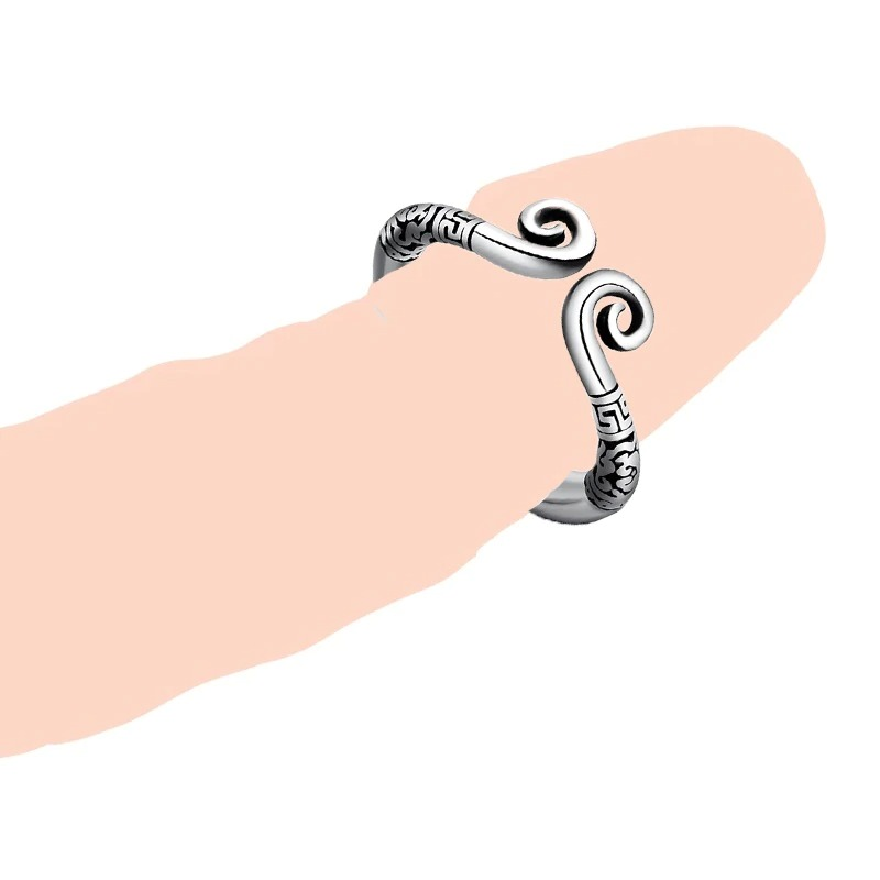 Male Stainless Steel Cock Ring / Sex Toy for Men / Adult Penis Ring - EVE's SECRETS