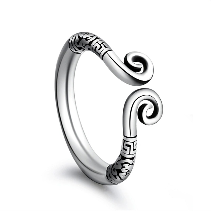 Male Stainless Steel Cock Ring / Sex Toy for Men / Adult Penis Ring - EVE's SECRETS