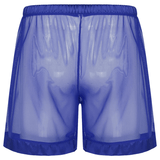 Men's See-Through Nightwear / Lounge Mesh Boxer Shorts for Men / Male Sexy Underwear - EVE's SECRETS