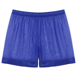 Men's See-Through Nightwear / Lounge Mesh Boxer Shorts for Men / Male Sexy Underwear - EVE's SECRETS