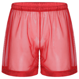 Men's See-Through Nightwear / Lounge Mesh Boxer Shorts for Men / Male Sexy Underwear - EVE's SECRETS